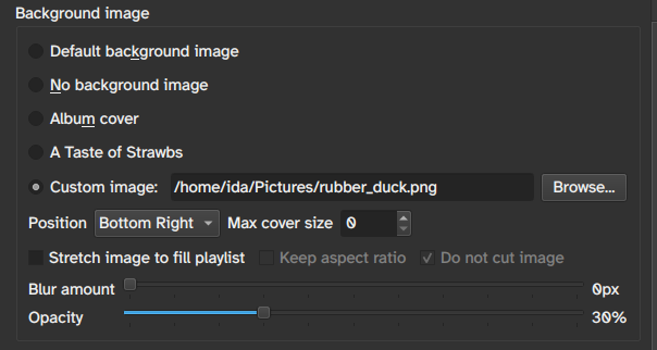 Screenshot from 2025-06-24 17-27-05.png